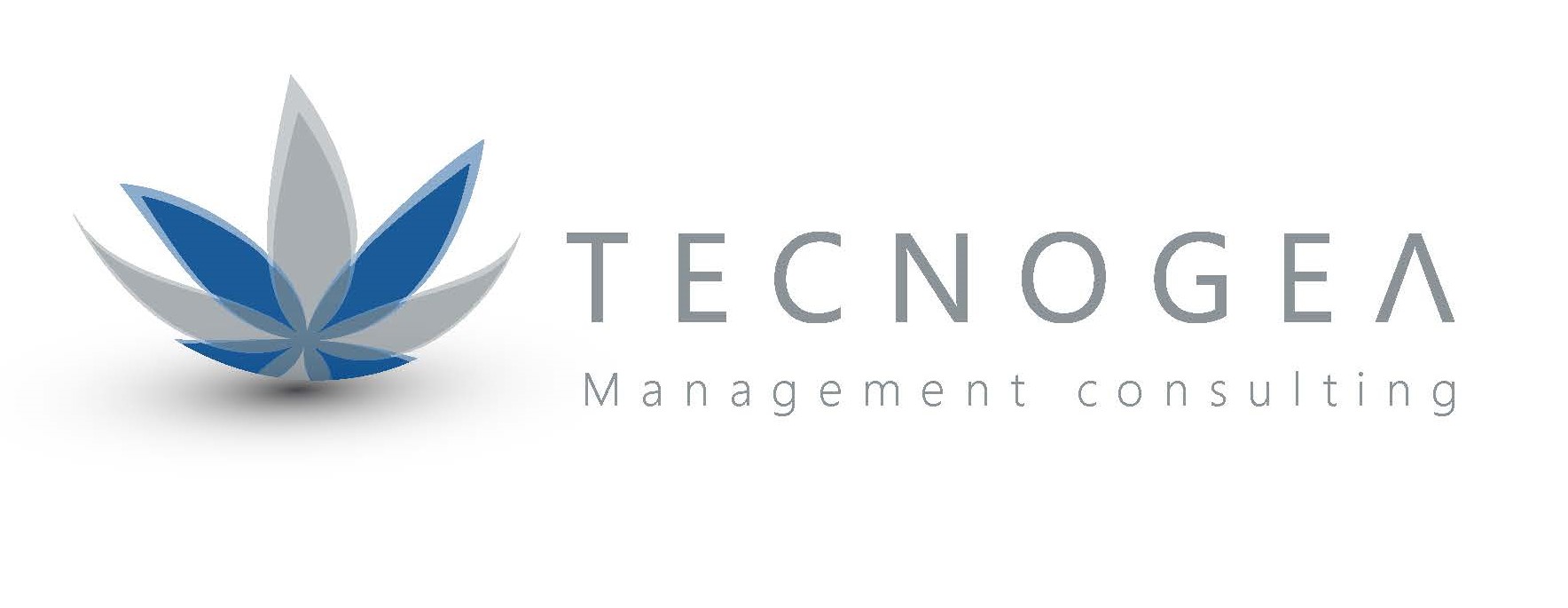 Tecnogea S.r.l.