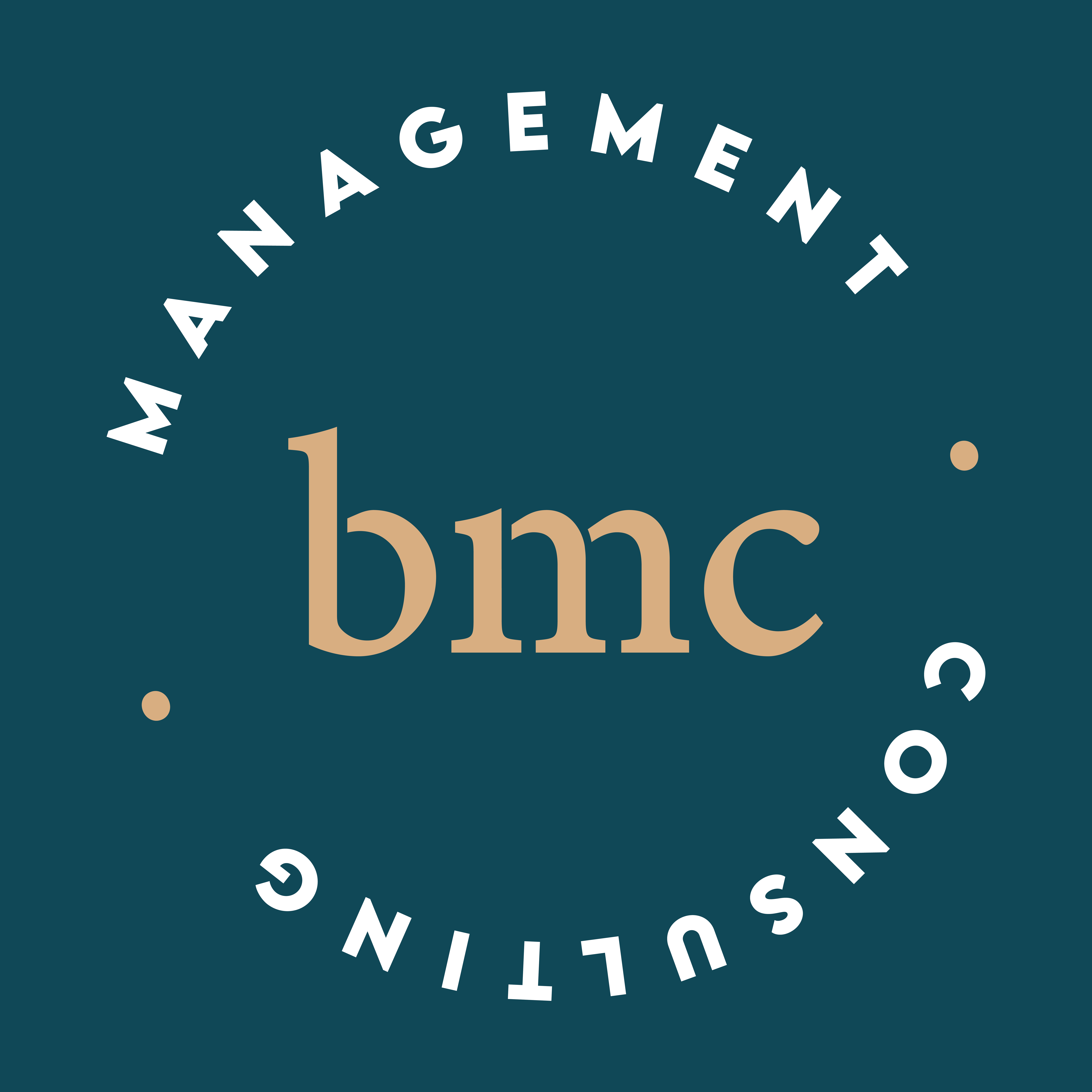 B Management Consulting (BMC Srls)