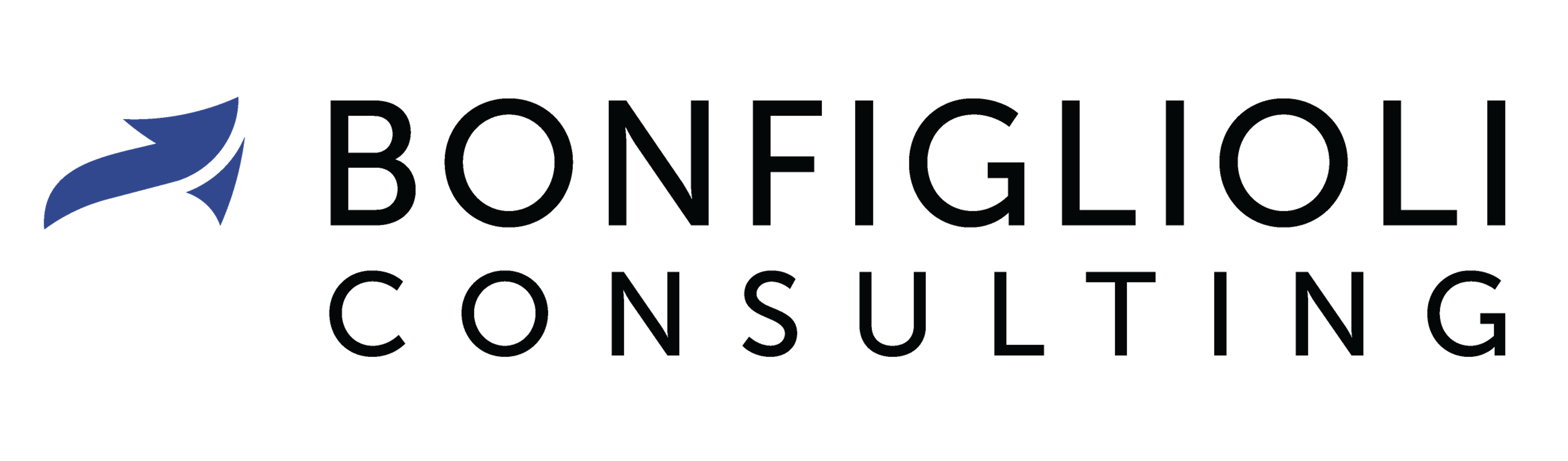 Bonfiglioli Consulting