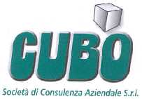CUBO  SOCIETA’ DI CONSULENZA AZIENDALE Srl