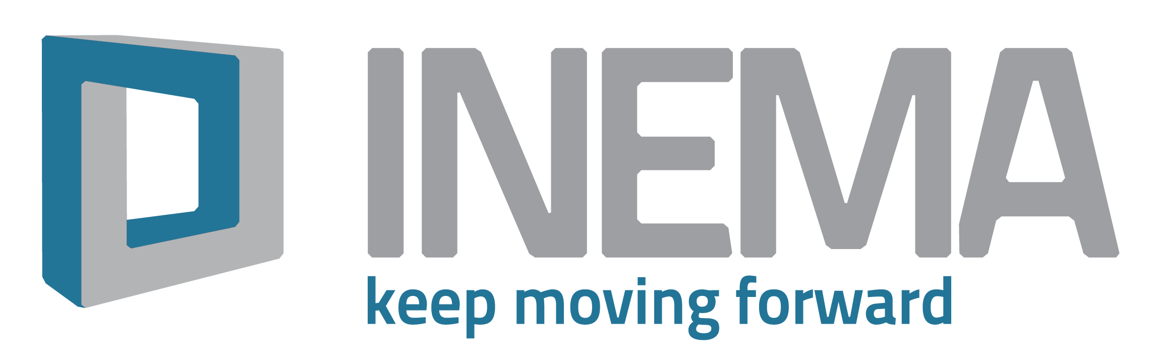 INEMA SRL